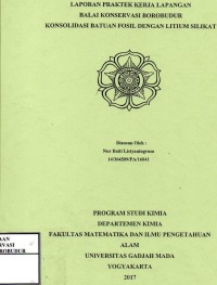 Image of Konsolidasi Batuan Fosil dengan Litium Silikat