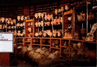 Image of 44 National Museums of Thailand