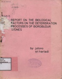 Image of Report On The Biological Factors On The Deterioration Processes Of Borobudur Stones