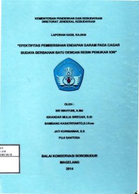 Image of Efektifitas Pembersihan Endapan Garam pada Cagar Budaya Berbahan Batu dengan Resin Penukar Ion