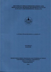 Image of Identifikasi Asosiasi Mikroorganisme yang Berpotensi Dalam Proses Deteriorasi Batuan Di Kawasan Candi Borobudur Magelang